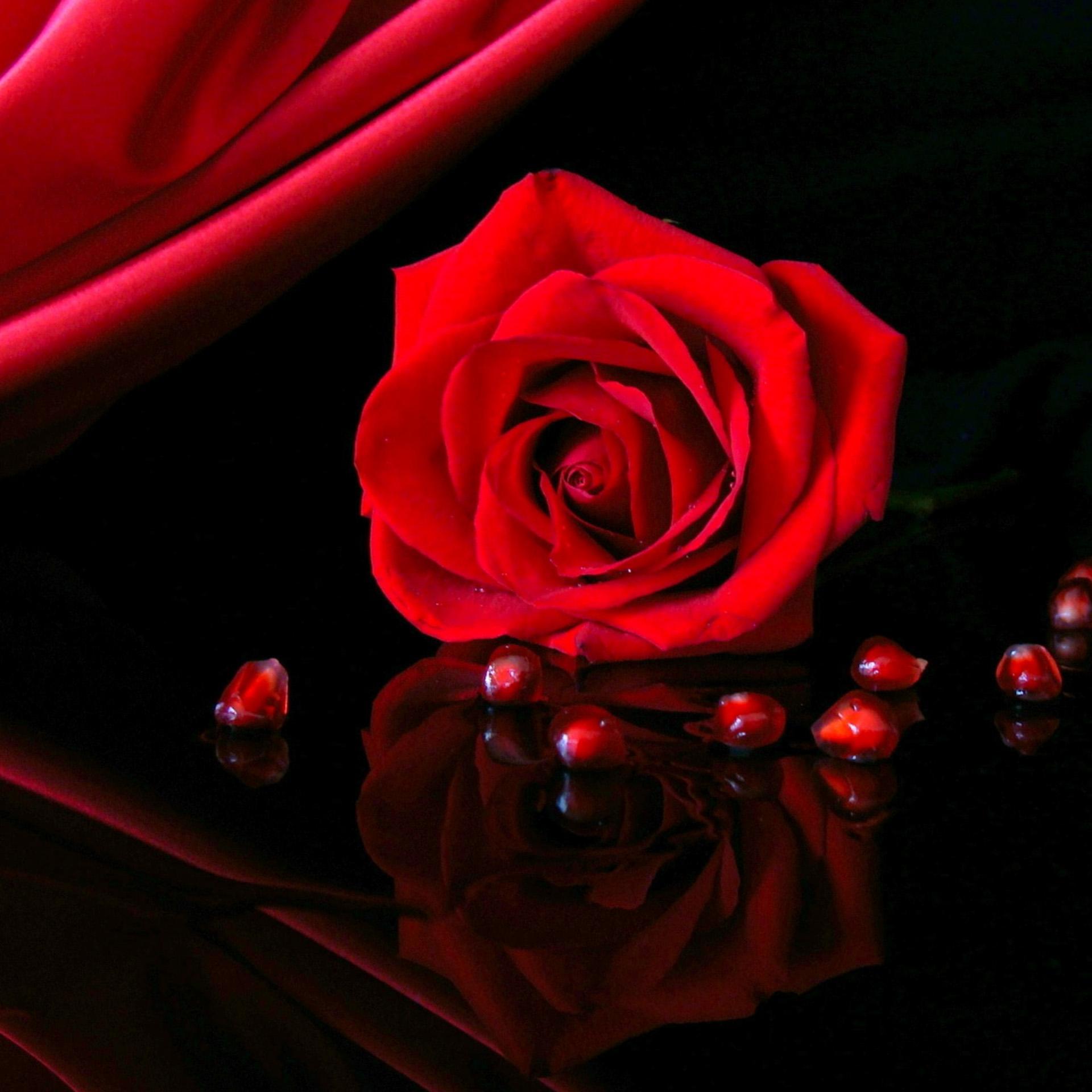 Rose Live Wallpapers