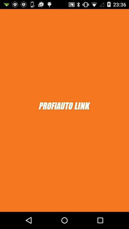 ProfiAuto Link