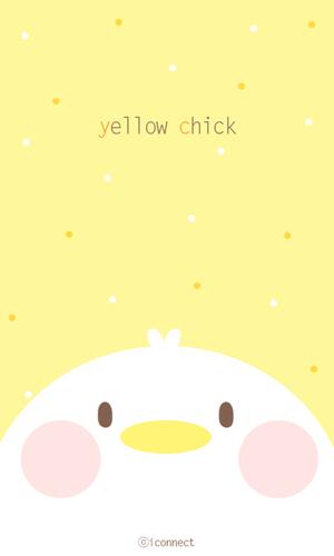 Yellow Chick go launcher theme