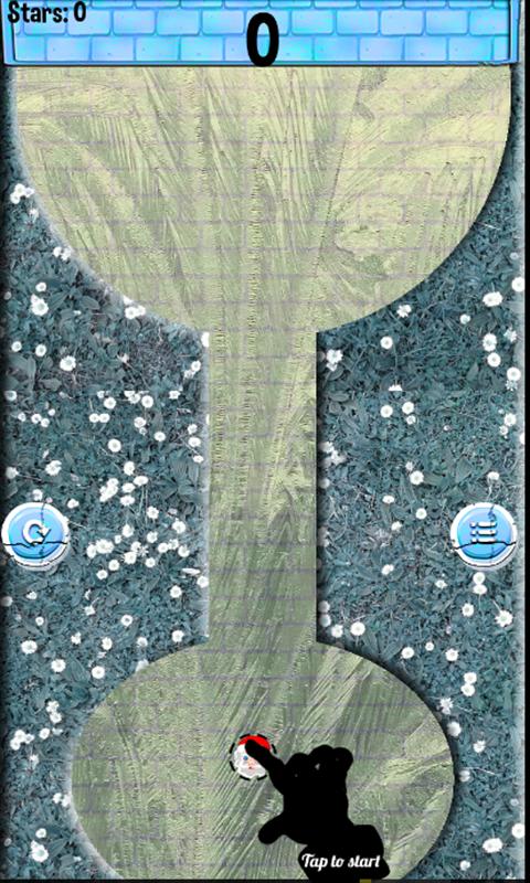 Follow the Road to Oz