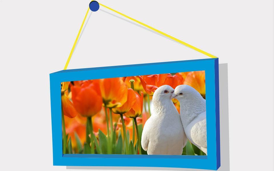 Picture Puzzle: Birds